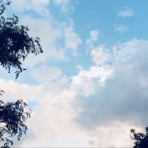 Meet your Posher, Xin